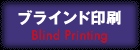 �u���C���hP���